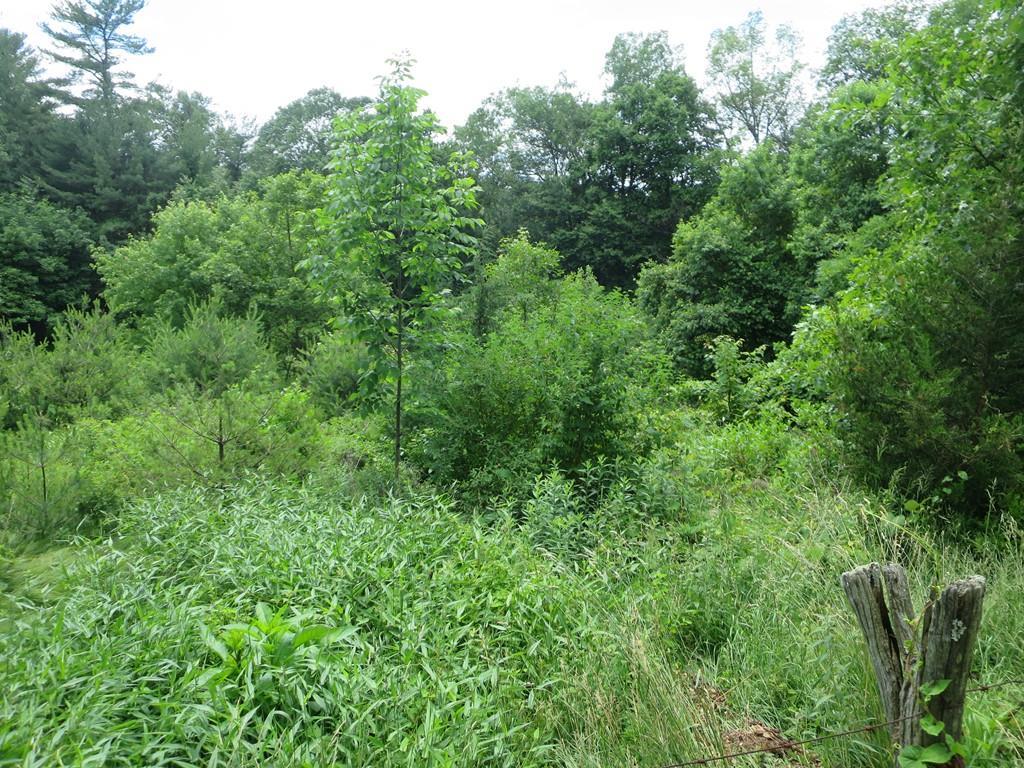 Lot 2 Thompson Street - Photo 1