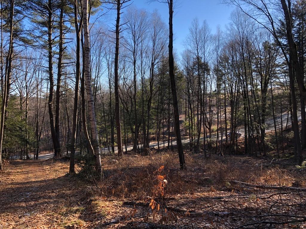 0 Little Mohawk Road - Photo 1