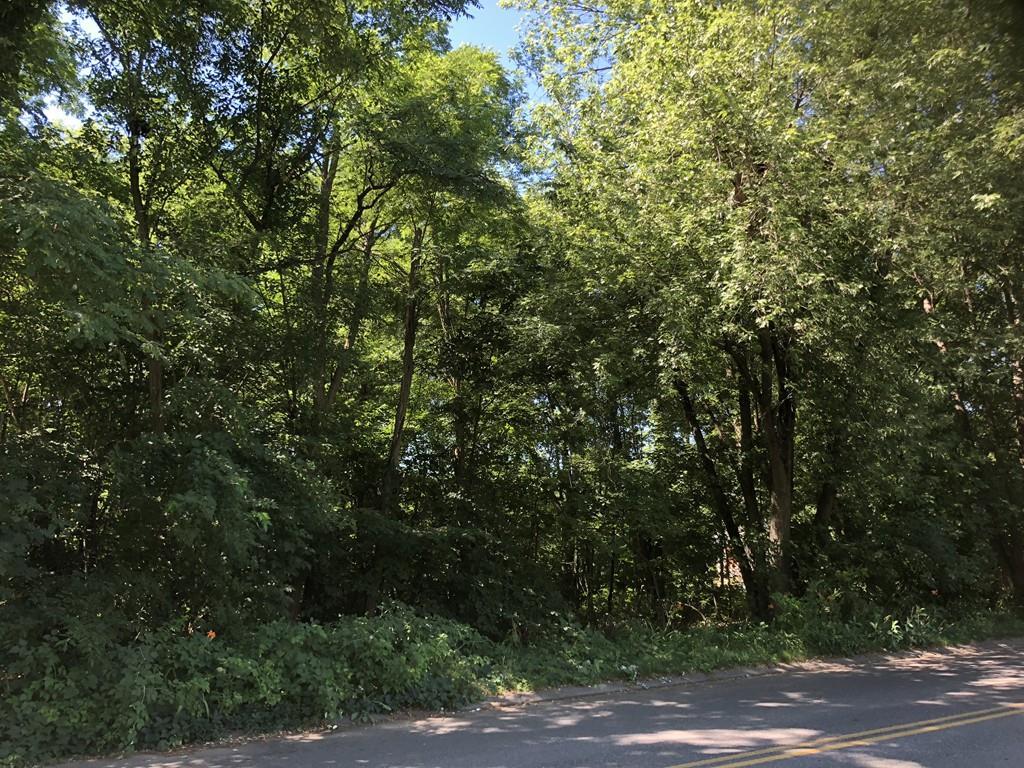 Lot 23 Irene St - Photo 1