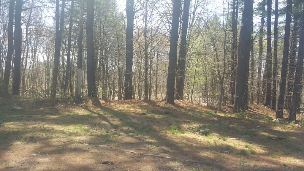 47 B Sugar Road - Photo 1