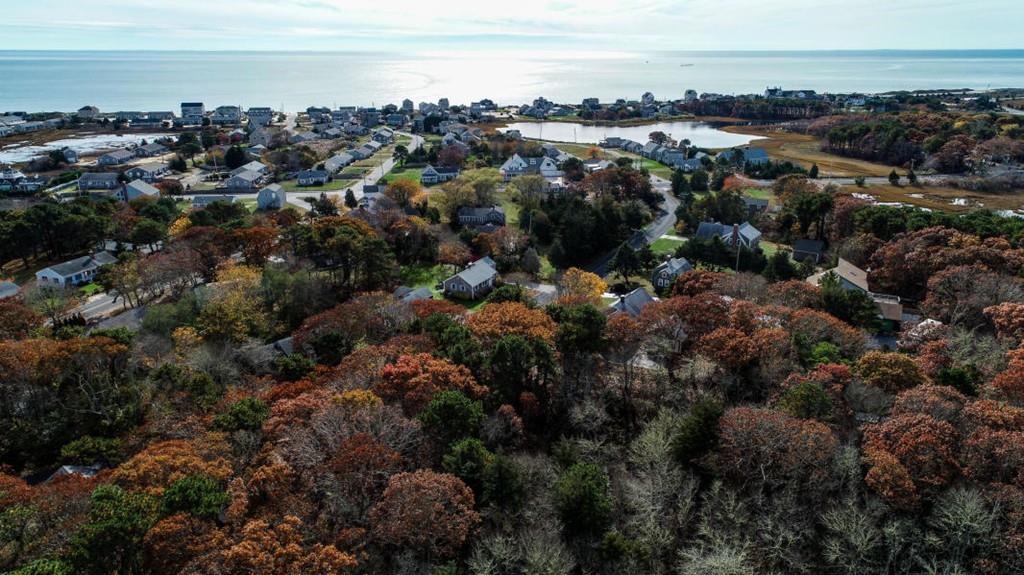 31 Pine Rd - Photo 1