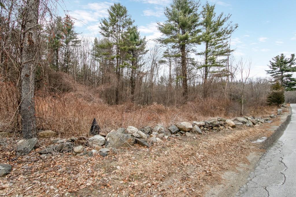 0 Lyman Rd Lot 3 - Photo 1