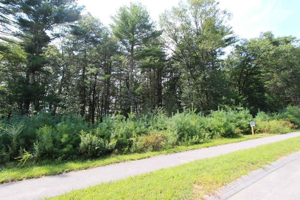 Lot 3A Frontier Lane - Photo 1