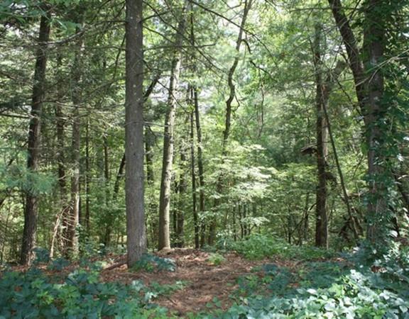 Lot 2 Pine Ridge Rd - Photo 1