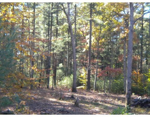 00 Chestnut Street - Photo 1