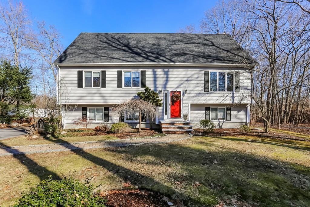 169 Massapoag Ave - Photo 1