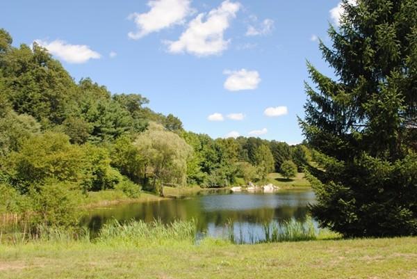 14 Fiske Pond Road - Photo 1