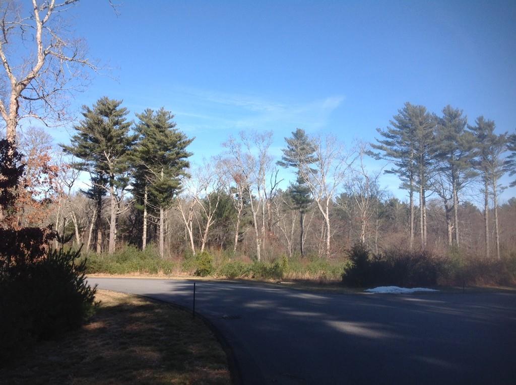 36 Prince Snow Circle - Photo 1