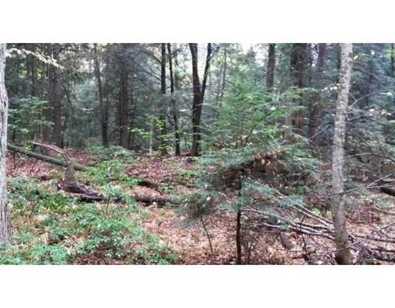 1 Birch Cir - Photo 1