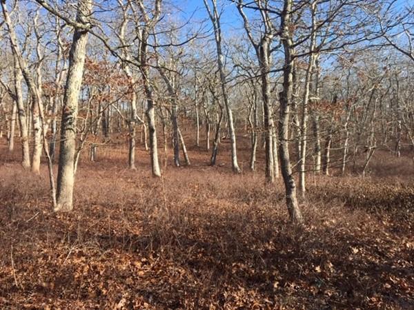 0 Bartlett Woods - Photo 1