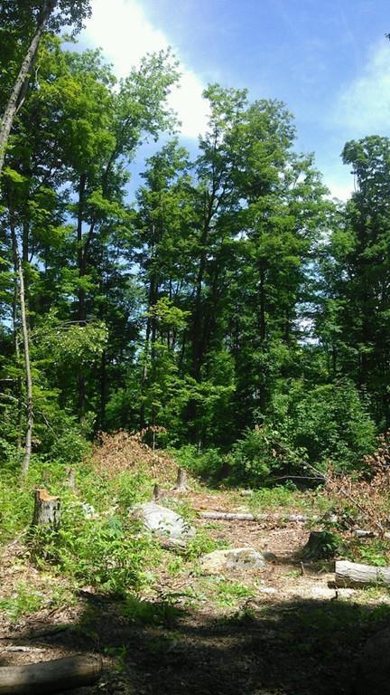 59 Holcomb Rd - Photo 1