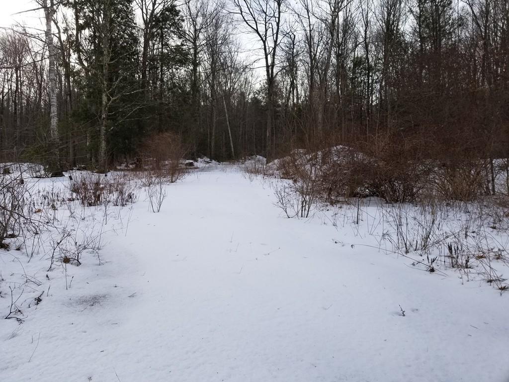 51 Chesterfield Rd - Photo 1