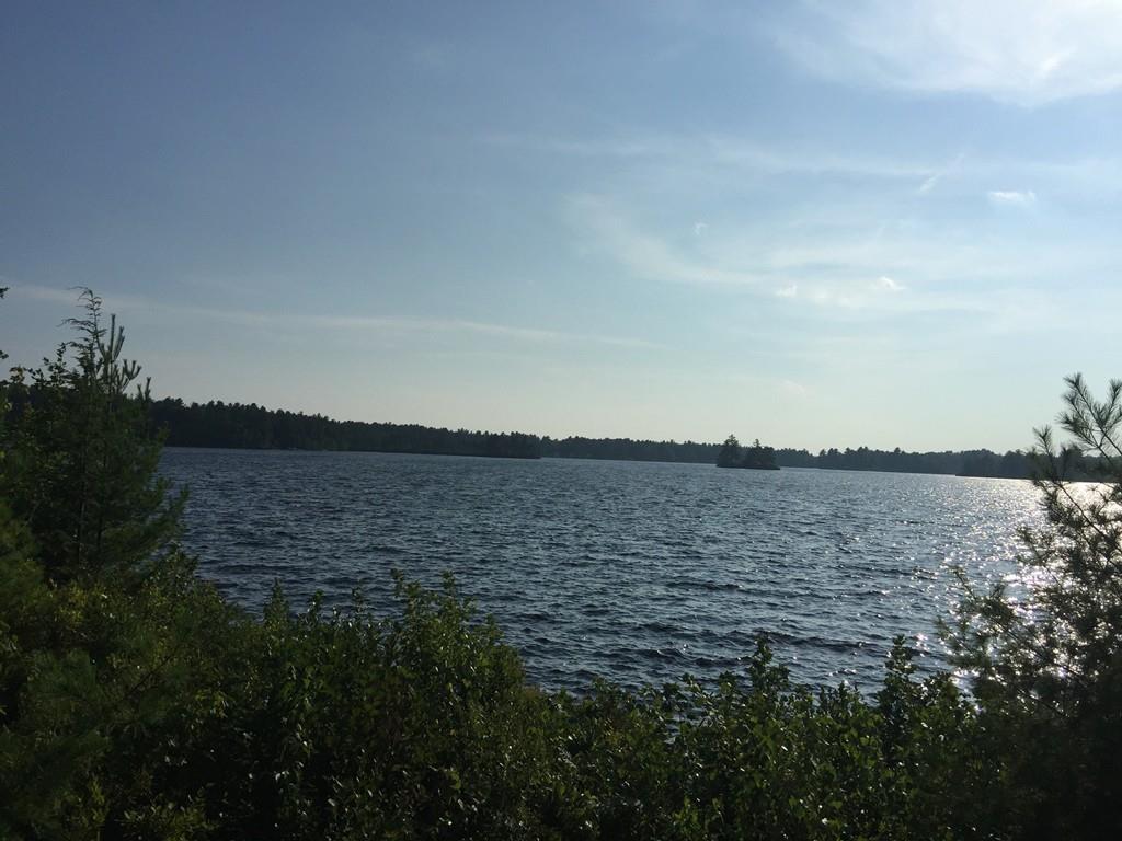 68 Saari Camp Rd - Photo 1