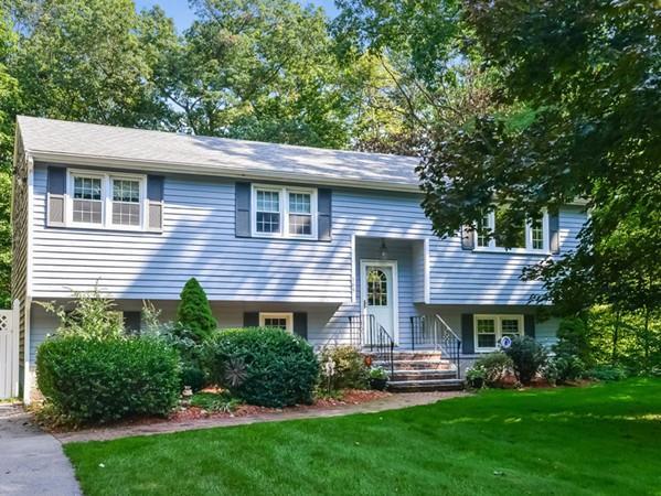 165 Massapoag Avenue - Photo 1