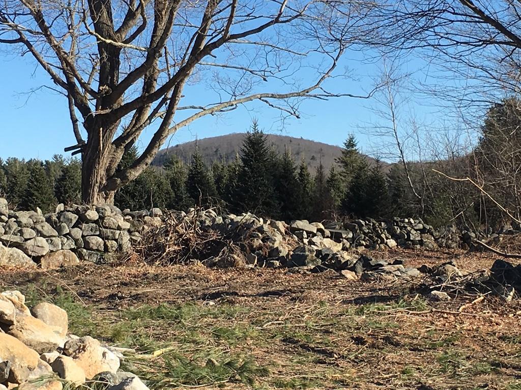 Lot 1 Stafford Hollow Road - Photo 1