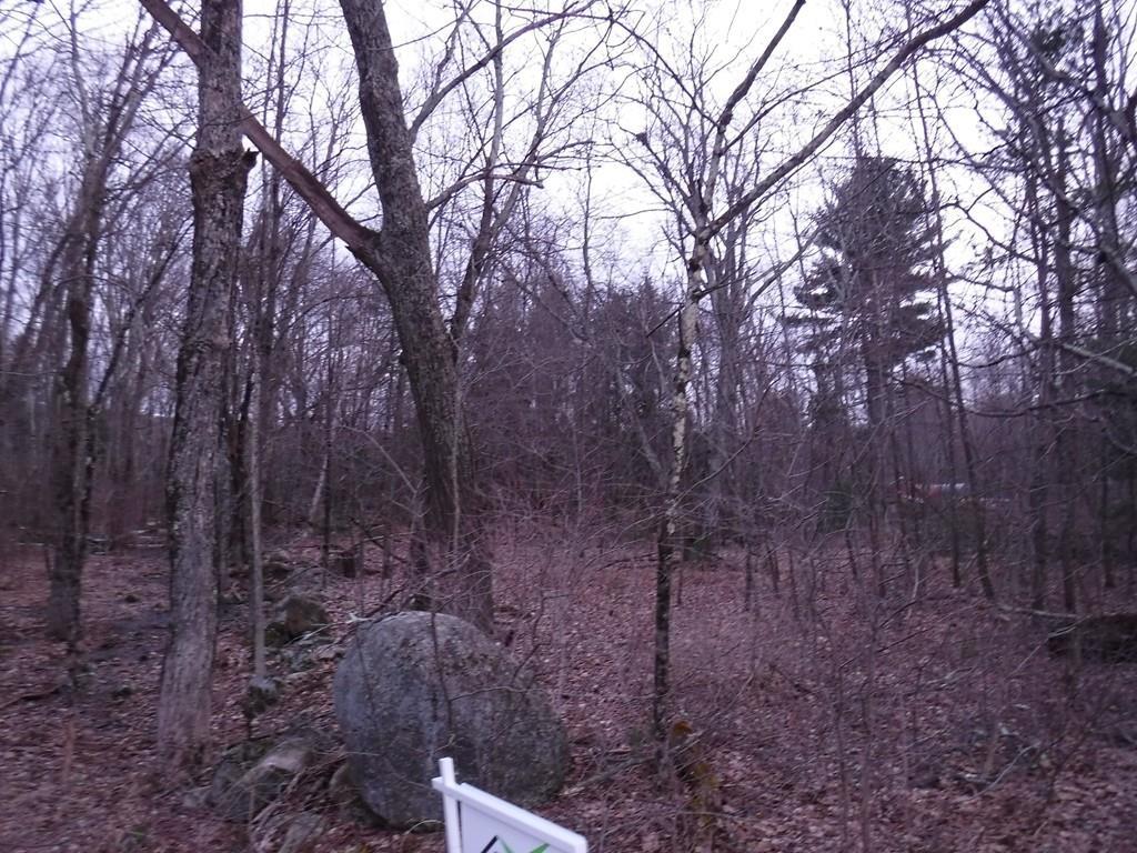 Lot 10.1 Brookfield Rd - Photo 1