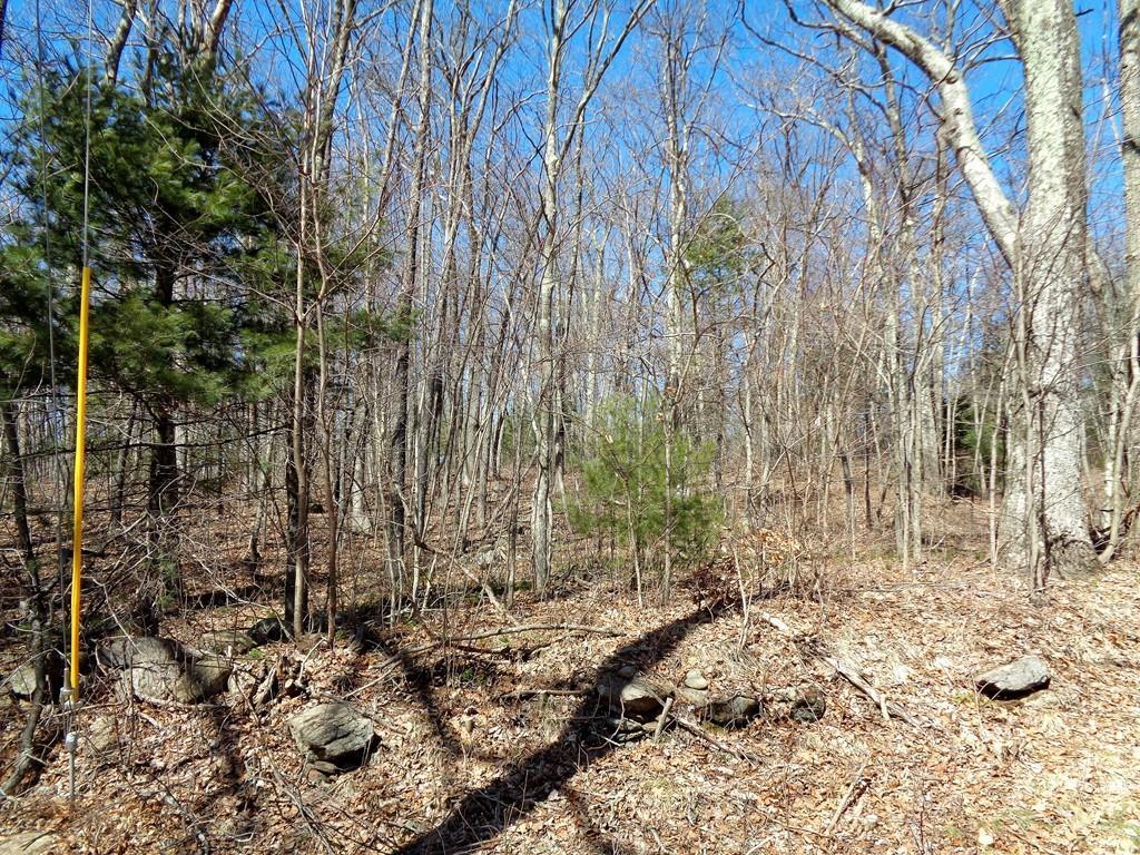 15 Holland Rd - Photo 1
