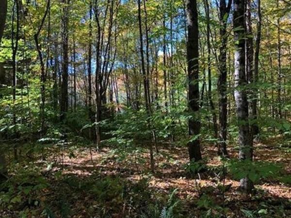 0 Mountain Pasture Rd - Photo 1