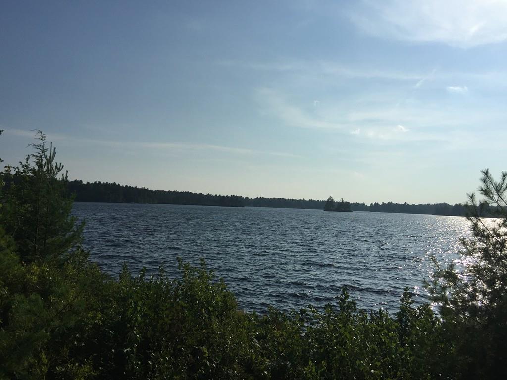 70 Saari Camp Rd - Photo 1