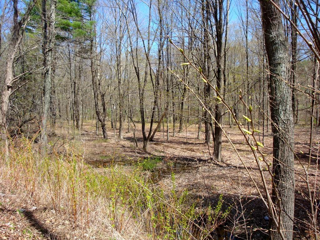 Lot 6W Southbridge Street - Photo 1