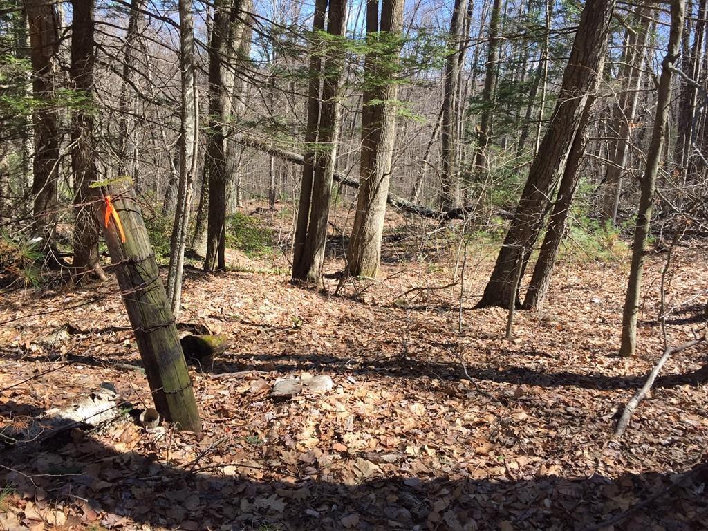 0 Riley Rd - Photo 1