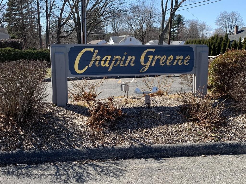 58 Chapin Greene Dr - Photo 1