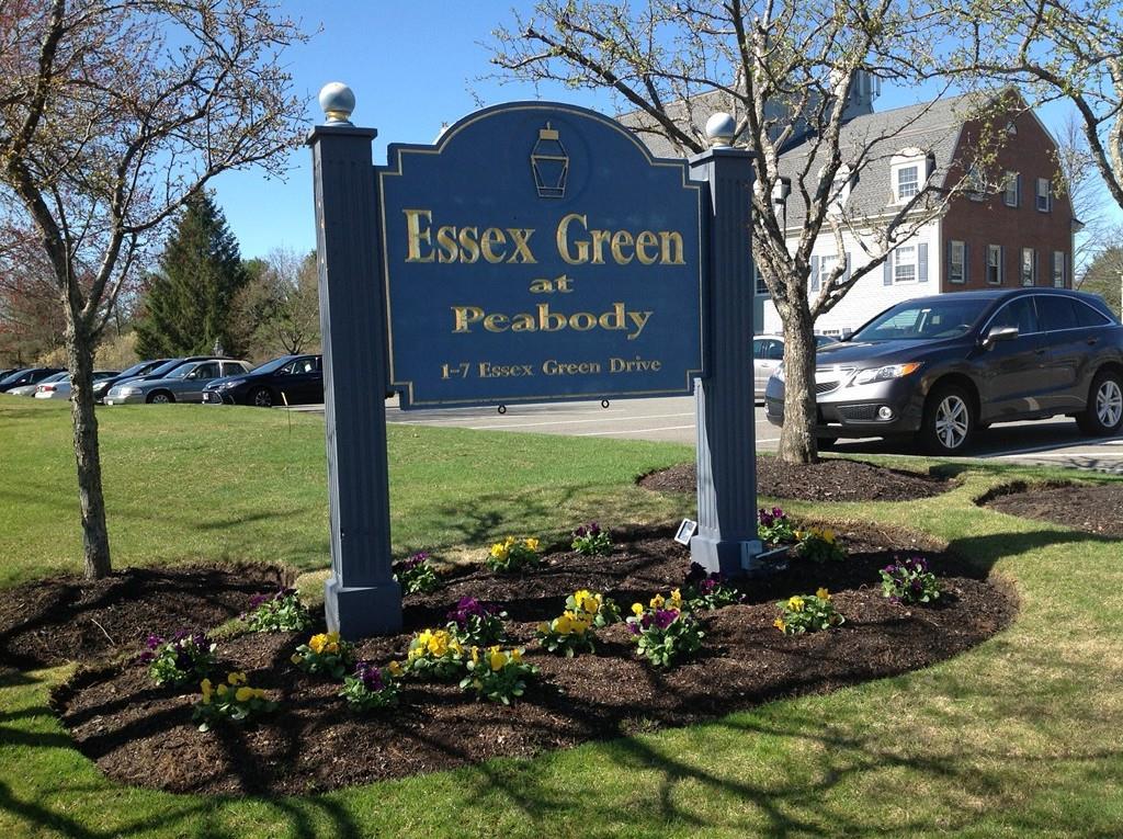 5 Essex Green Drive - Photo 1
