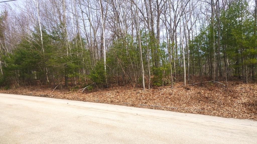 0 Lower Gore Road - Photo 1