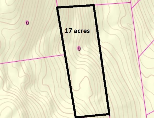 Lot 9 Fox Hill Rd (Off) - Photo 1