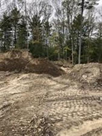 10 Whitetail Run - Photo 1
