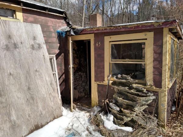 45 Wilder St - Photo 1