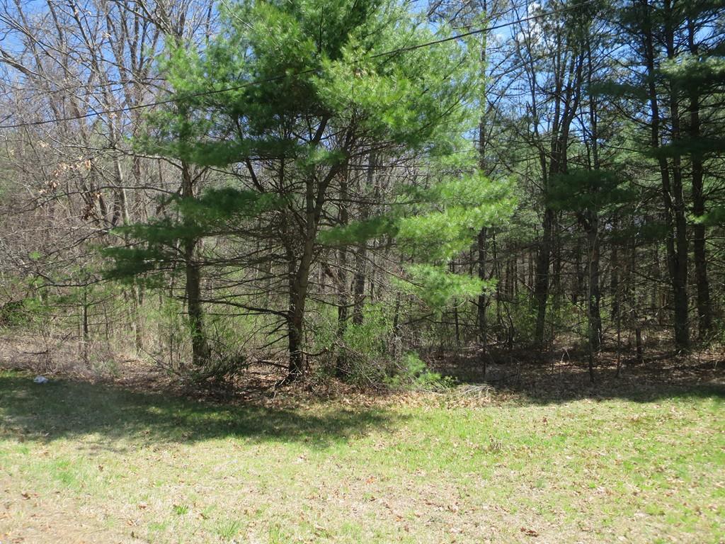 0 Boston Rd - Photo 1