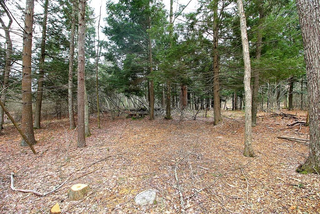 0 Belchertown Rd - Photo 1