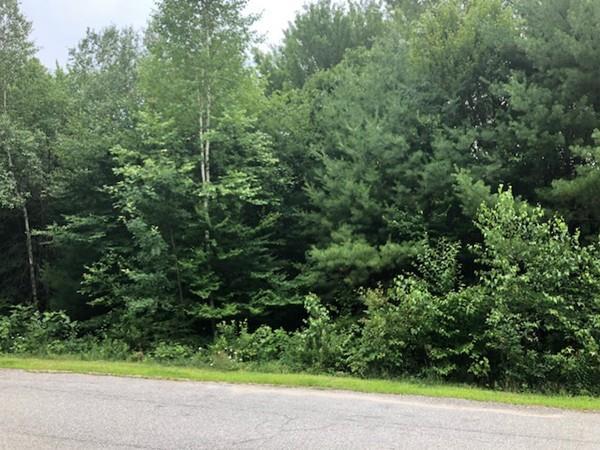 0 (Lot 5) Juniper Rd. - Photo 1