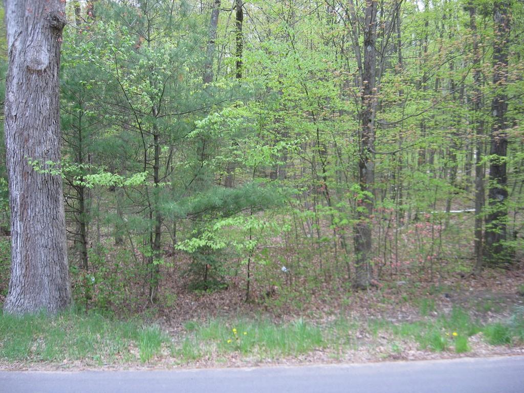 Lot 1 Summit Street - Photo 1