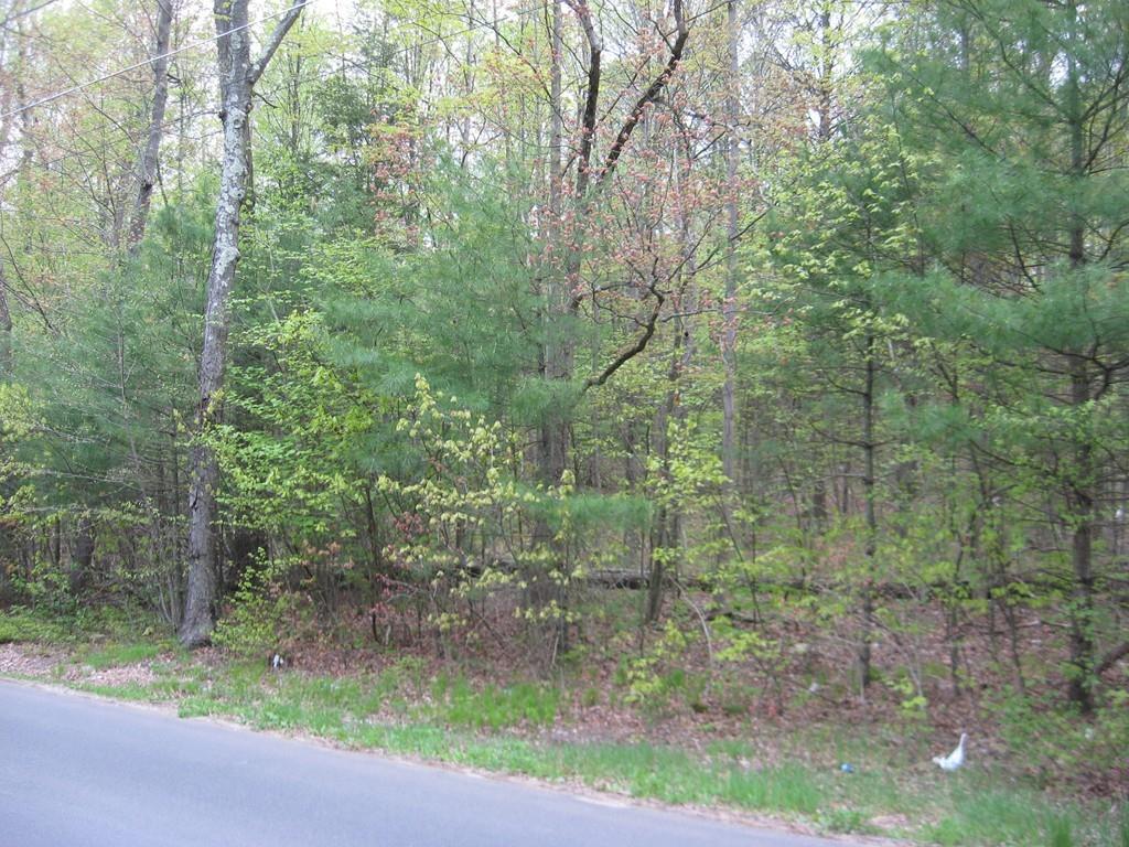 Lot 2 Summit Street - Photo 1
