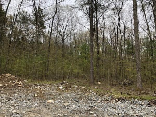 147 Sawyer Hill Road - Photo 1