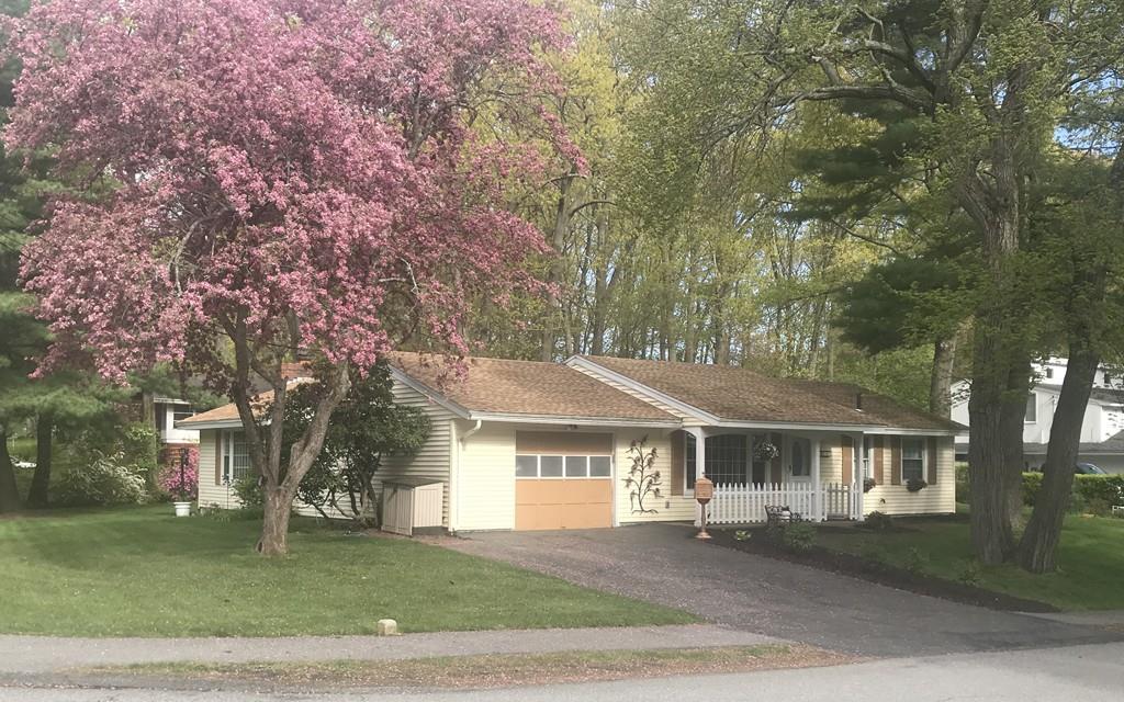 17 Hamilton Rd - Photo 1
