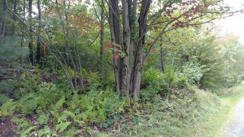 1419 Main Rd - Photo 1