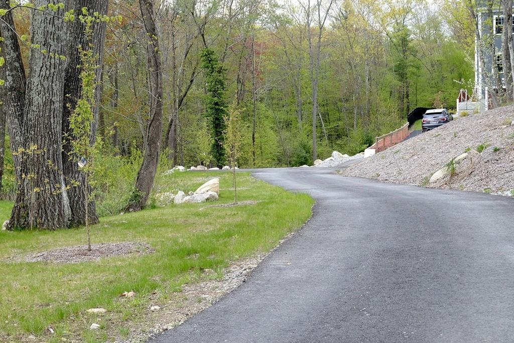 Lot 13 Chestnut Lane - Photo 1