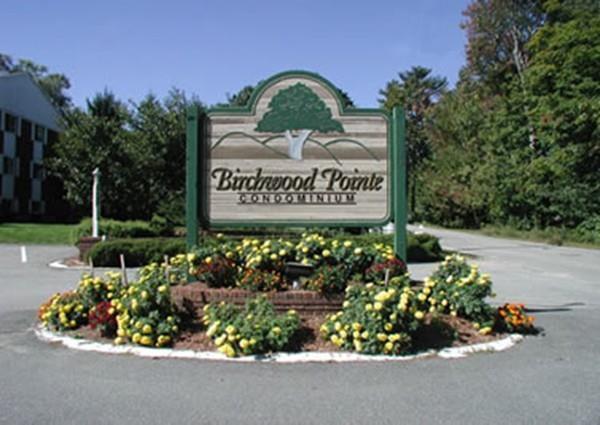 3 Birchwood Pt - Photo 1