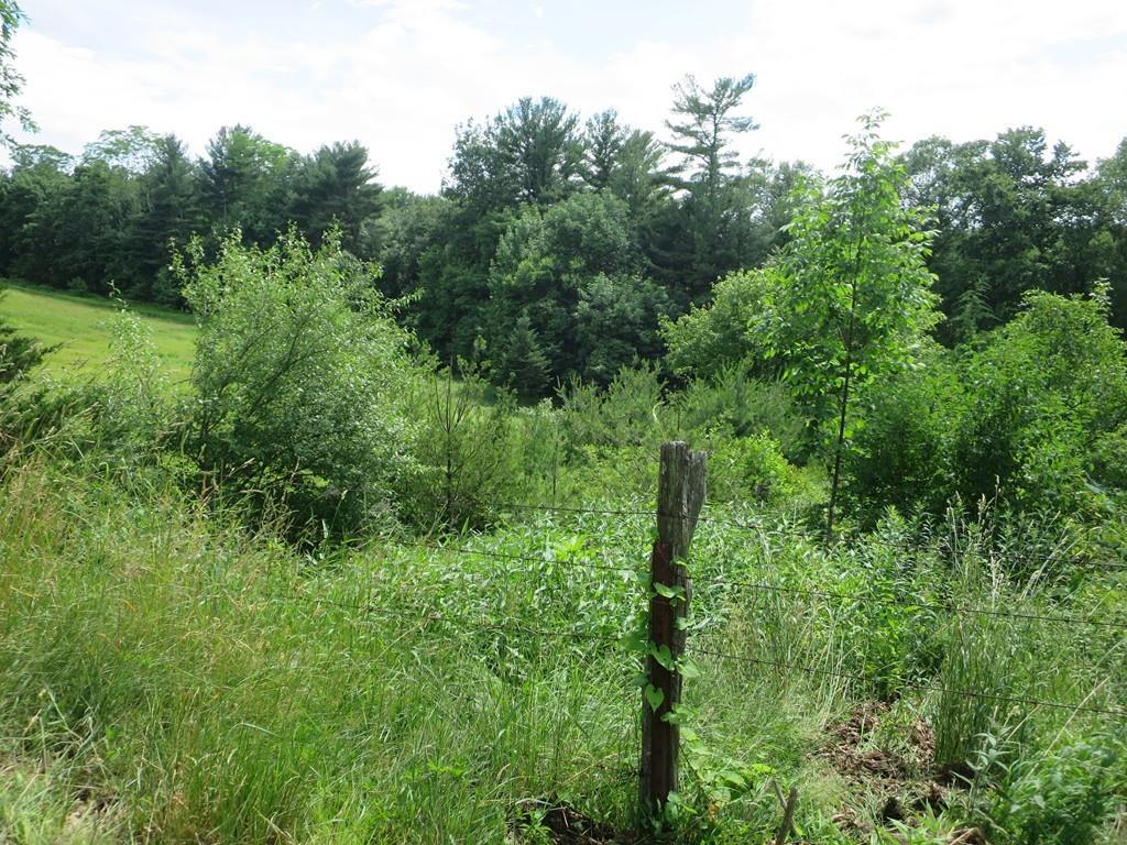 Lot 3 Thompson Street - Photo 1
