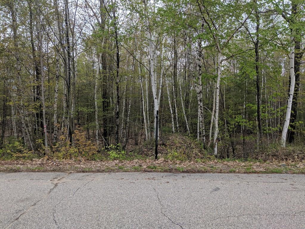 00 White Oak Drive - Photo 1
