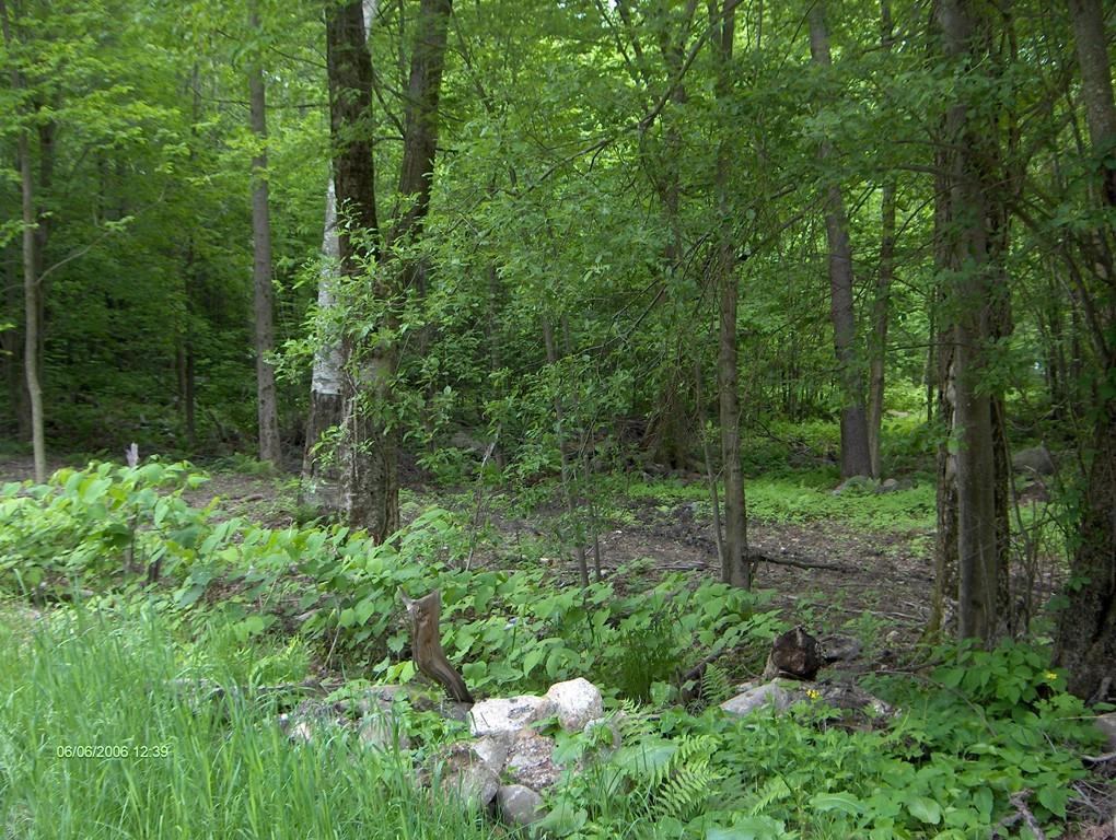 Lot 24 Narrow Lane - Photo 1