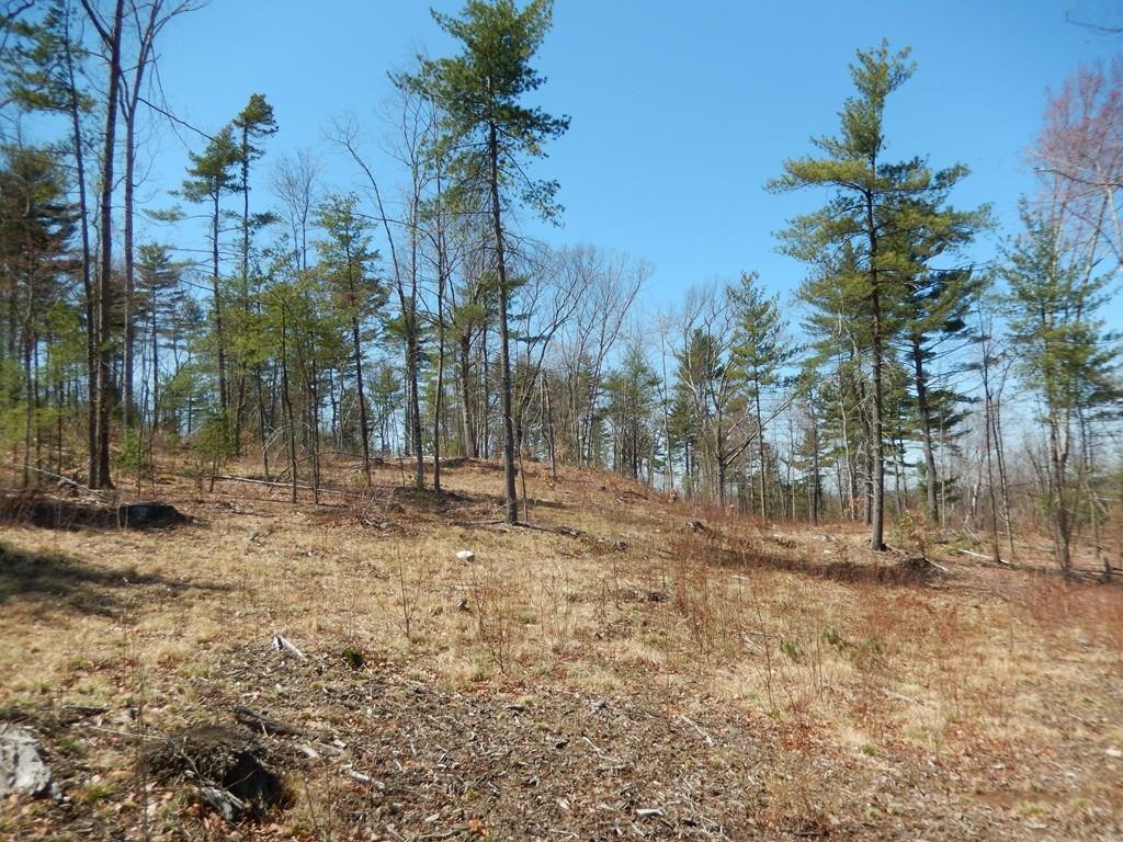 Lot 1 Three Rivers Road - Photo 1