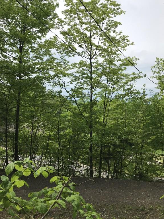 Lot 2 Reservation Road - Photo 1