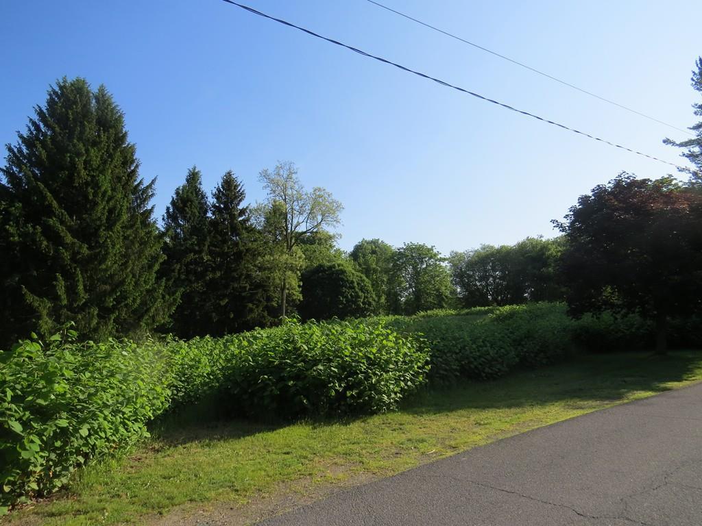 0 Circle Drive - Photo 1