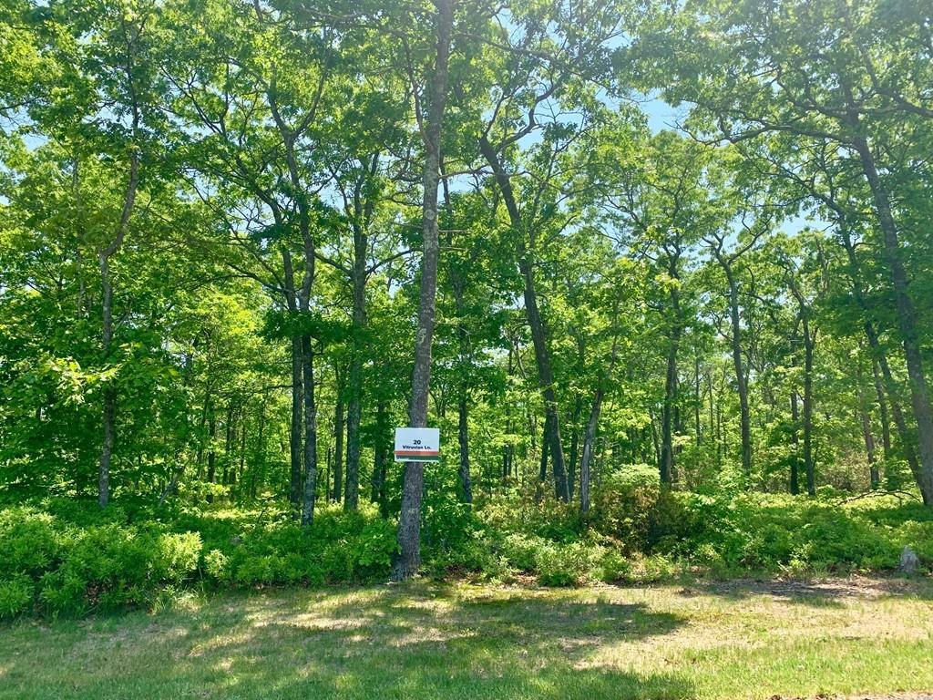 20 Vitruvian Ln - Photo 1