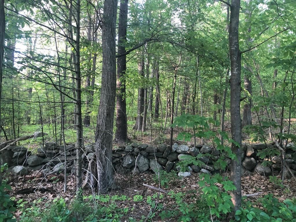 126 Long Hill Road - Photo 1