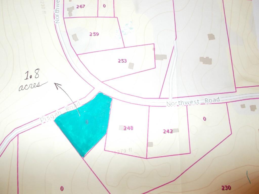 0 Pisgah Road - Photo 1